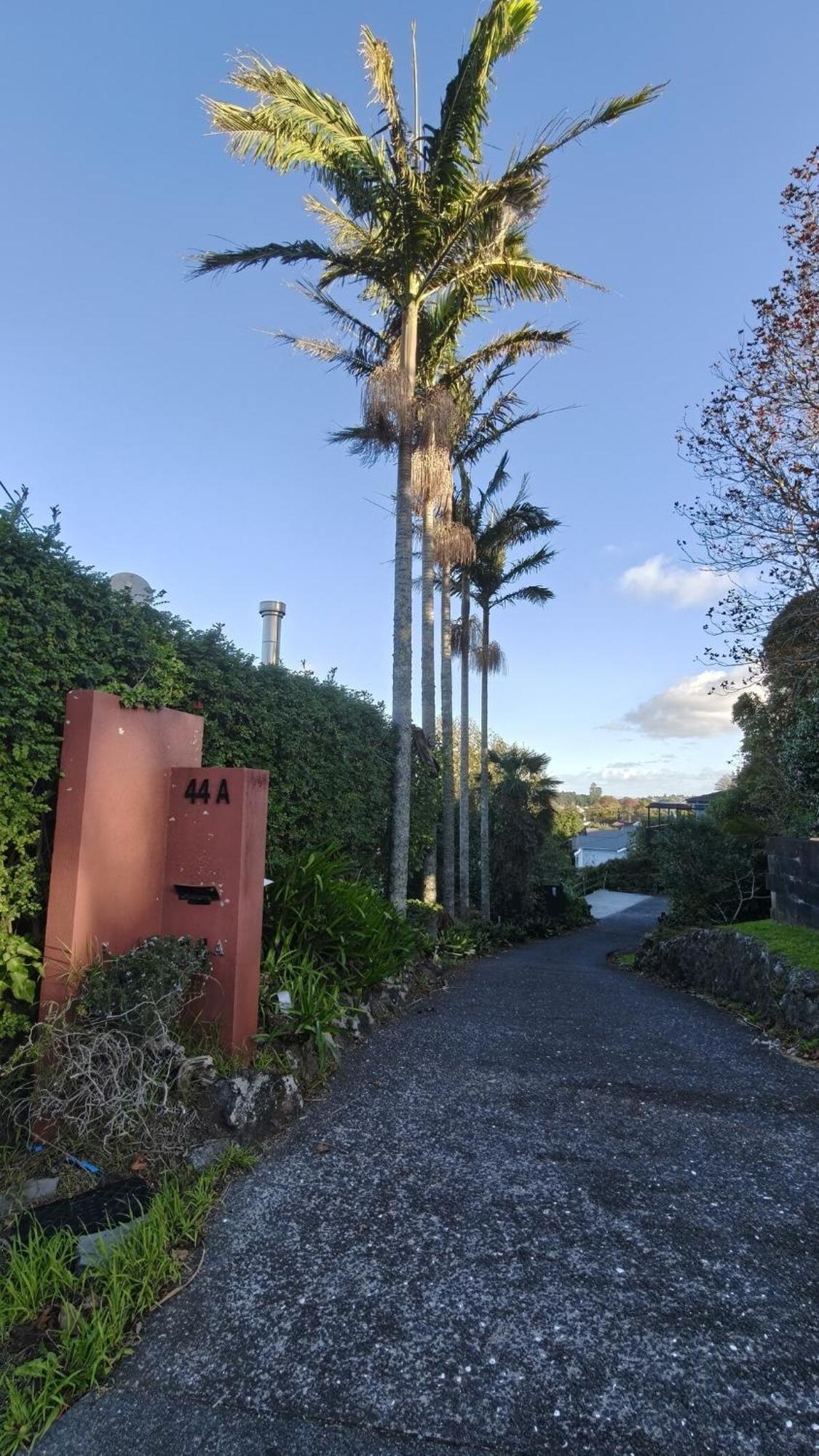 Hidden Oasis In Epsom With Panoramic View Villa Auckland Exterior foto